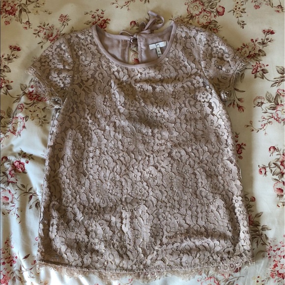 ⭐️Joie Lace Blouse - Picture 3 of 5